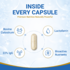 #1immunity 22% IgG Regular Strength capsule with bovine colostrum, lactoferrin, and bioactive nutrients for immune and gut health