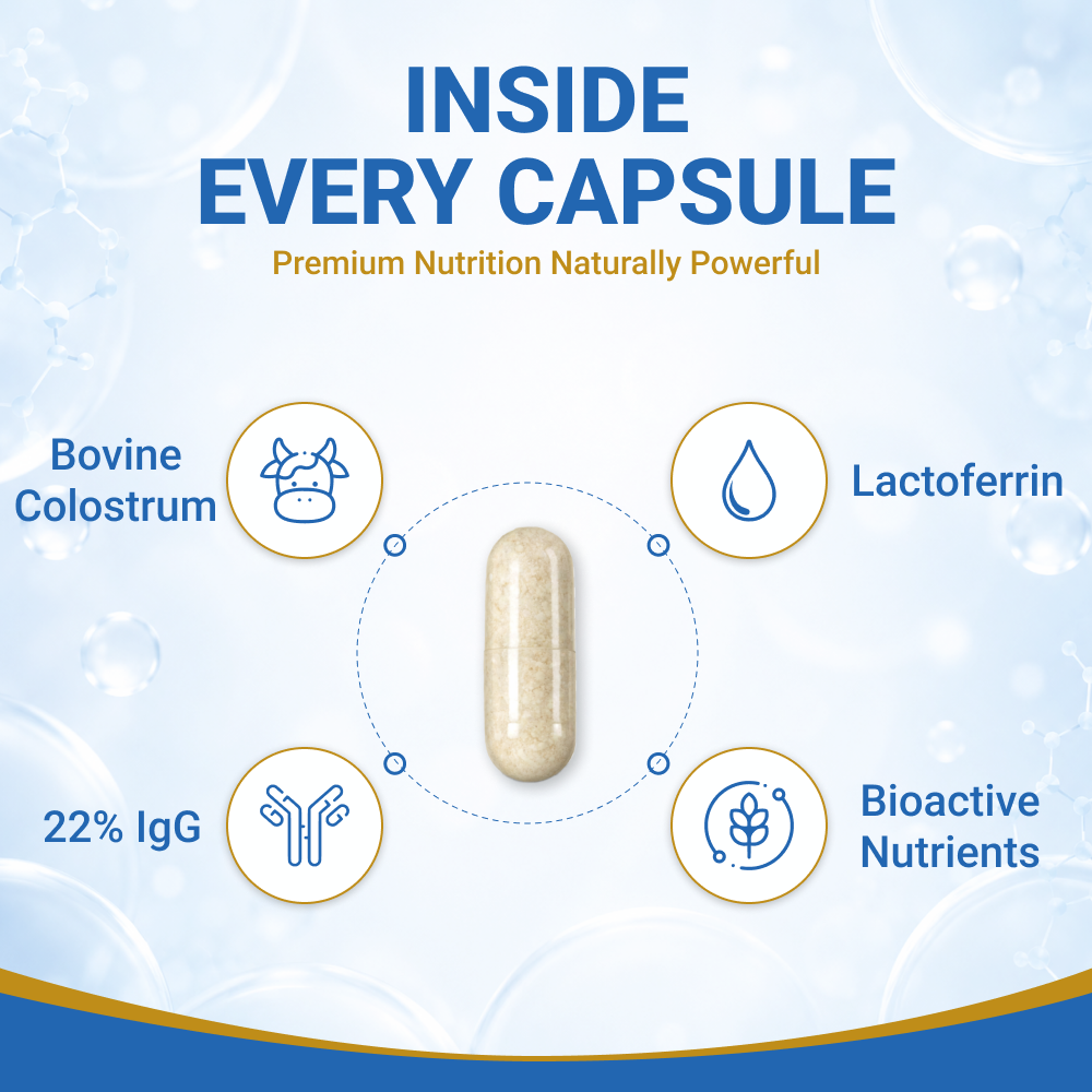 #1immunity 22% IgG Regular Strength capsule with bovine colostrum, lactoferrin, and bioactive nutrients for immune and gut health