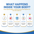 #1immunity 22% IgG Regular Strength supports gut health, immune function, daily energy, and overall wellness from the inside out